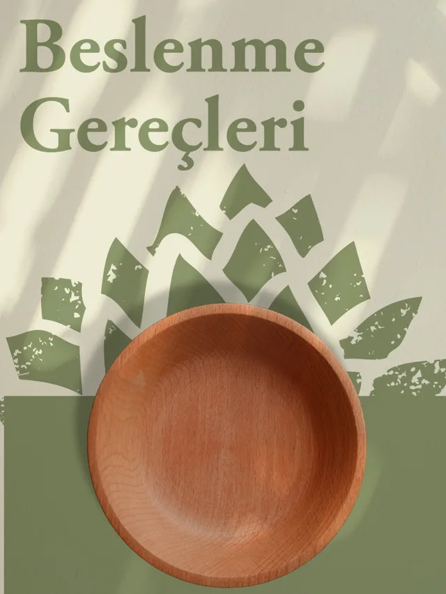 Beslenme Gereçleri