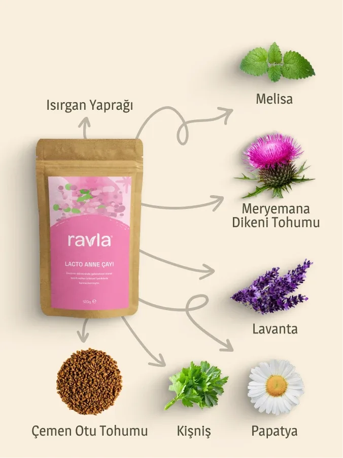 Ravla Lacto Anne Çayı