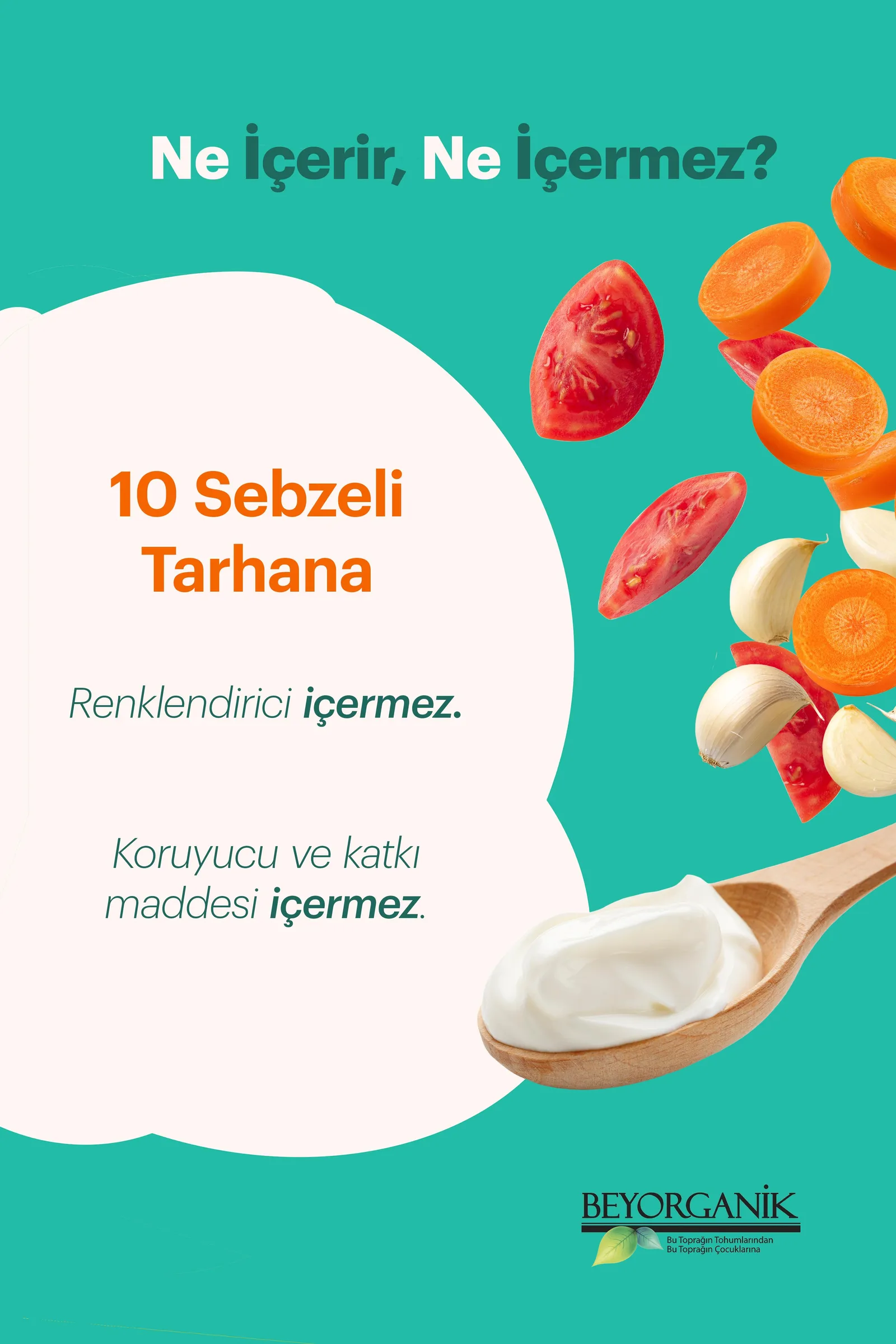 Beyorganik on sebzeli tarhana cam